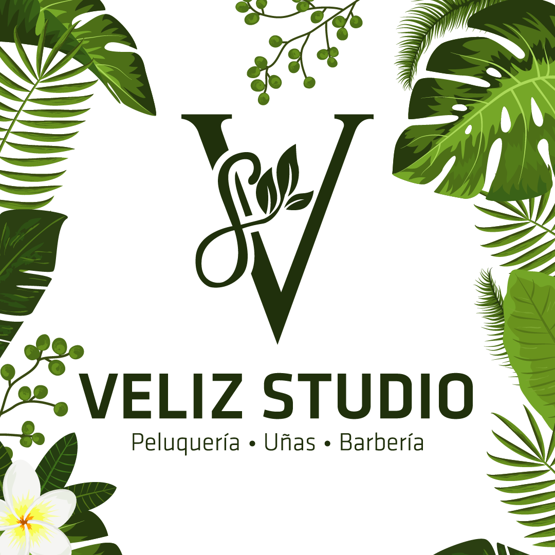 Veliz Studio